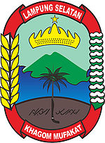 Pemerintah Daerah Lampung Selatan